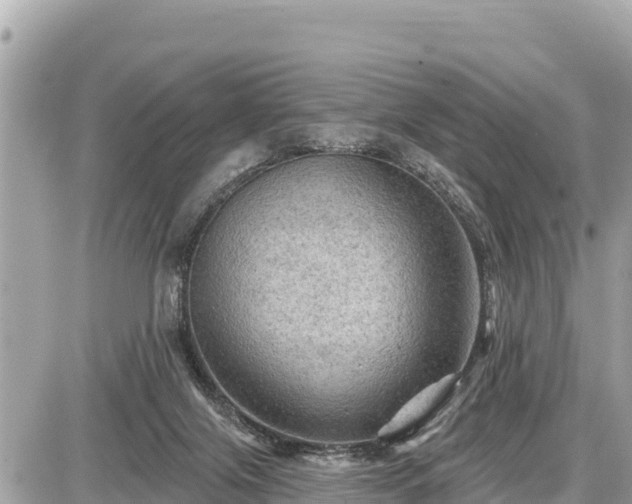 X0000087550071200705041338