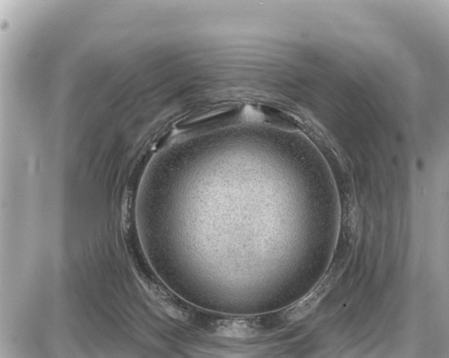 X0000087550074200705041338