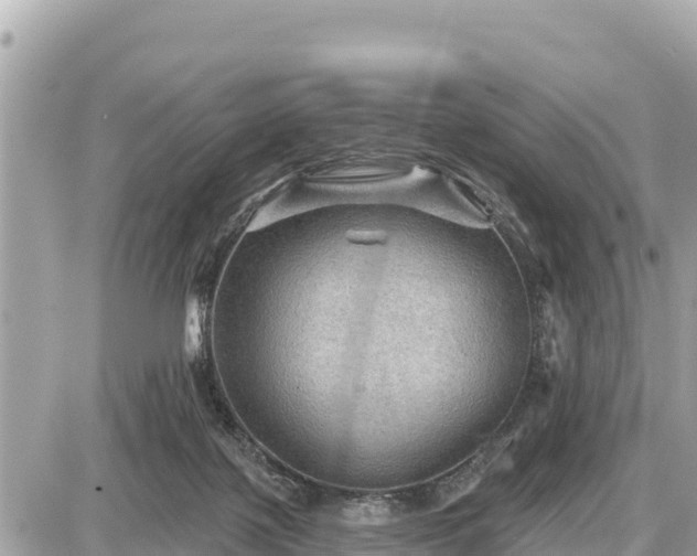 X0000087550075200705041338