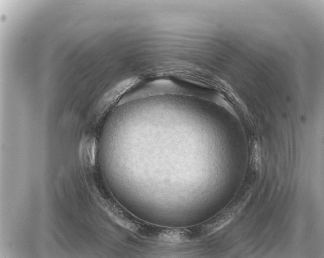 X0000087550076200705041338