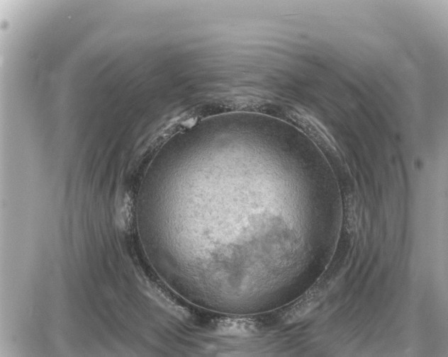 X0000087550077200705041338