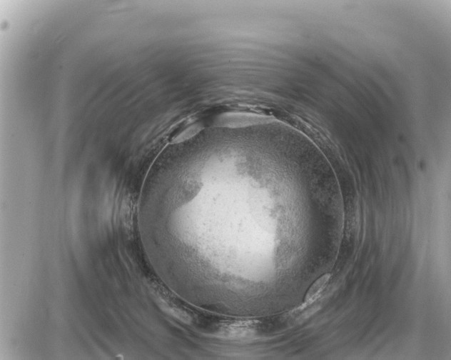 X0000087550078200705041338