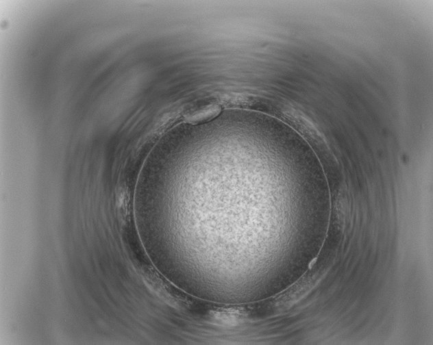 X0000087550079200705041338