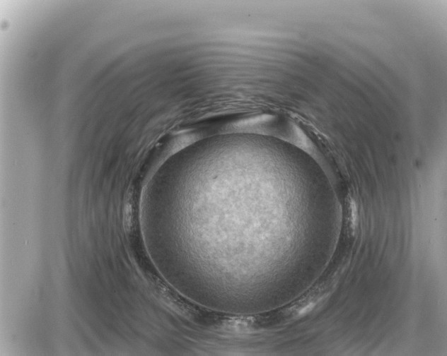 X0000087550080200705041338