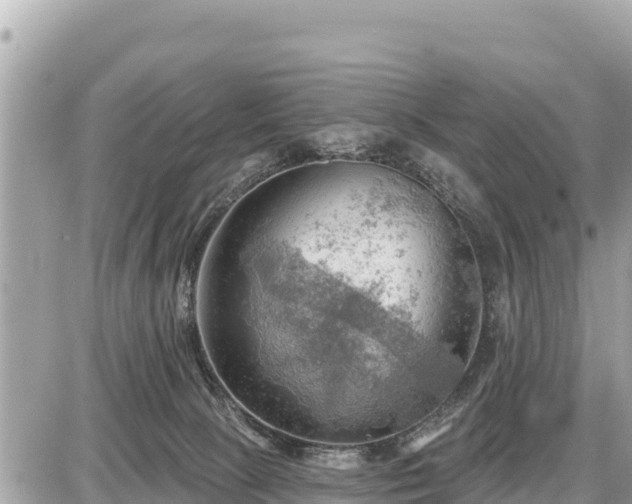 X0000087550081200705041338