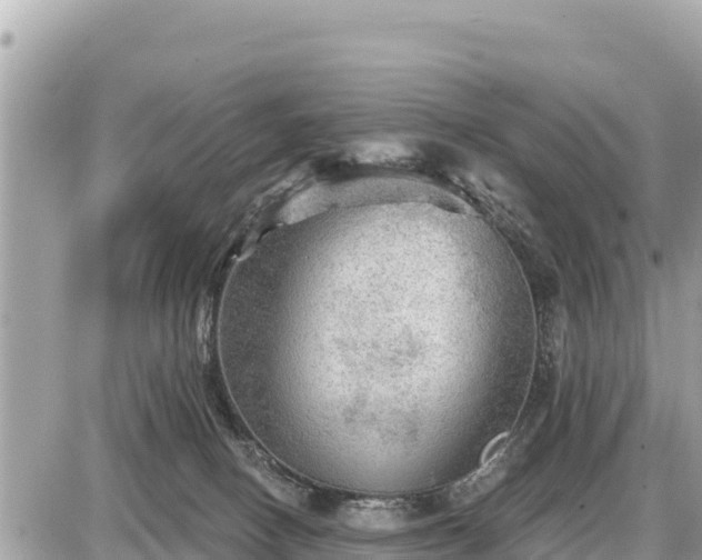 X0000087550082200705041338