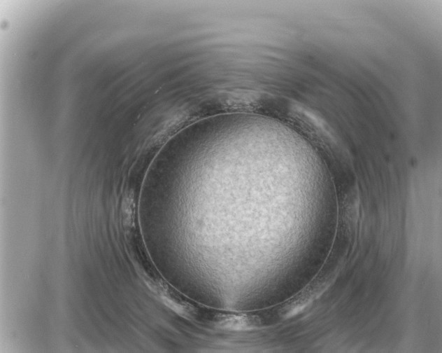 X0000087550083200705041338