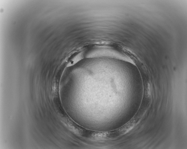 X0000087550084200705041338