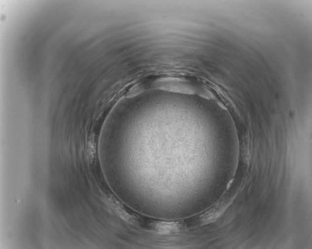 X0000087550085200705041338