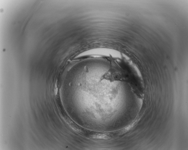 X0000087550086200705041338