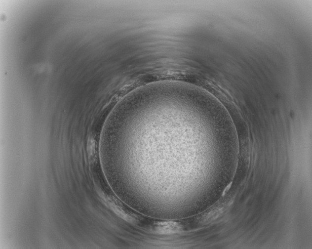 X0000087550087200705041338