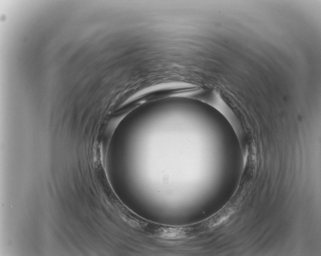 X0000087550088200705041339