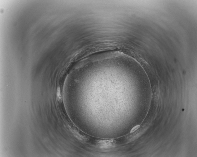 X0000087550089200705041339