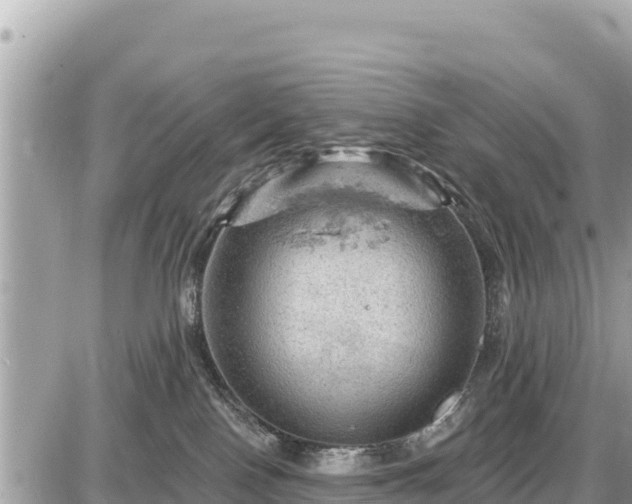 X0000087550090200705041339