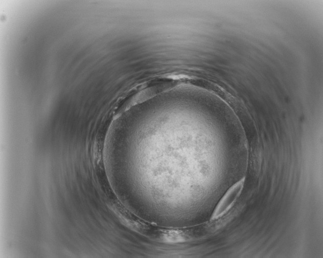 X0000087550091200705041339