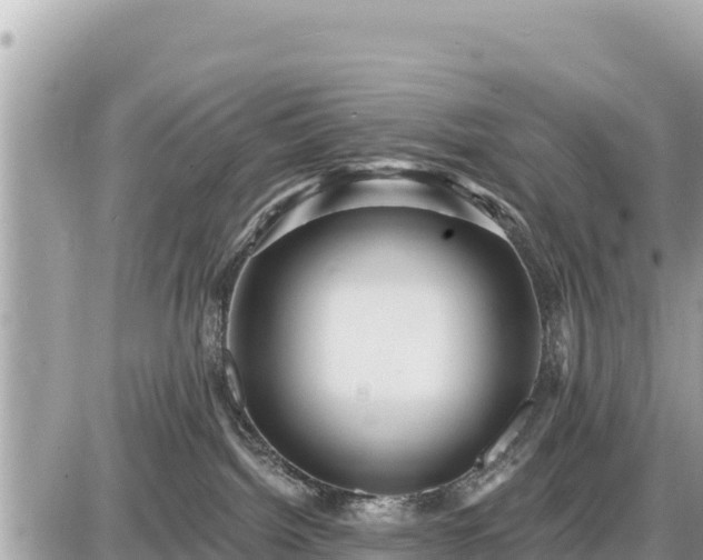 X0000087550092200705041339