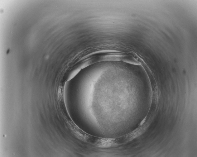 X0000087550093200705041339