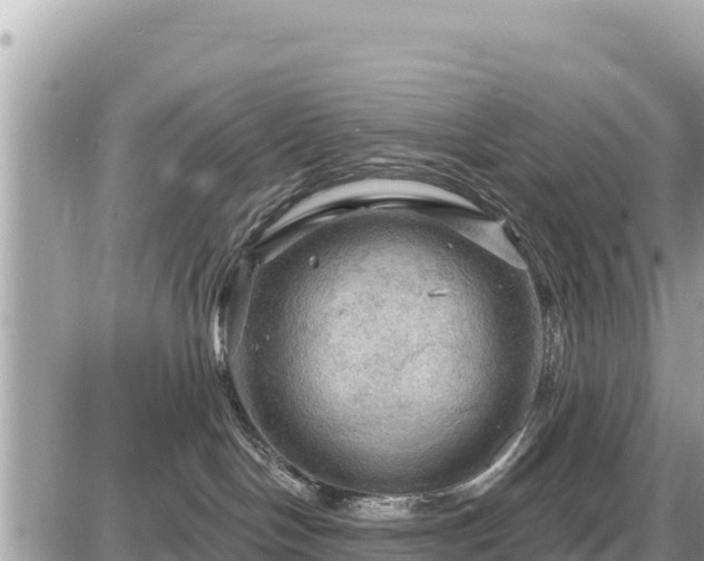 X0000087550094200705041339