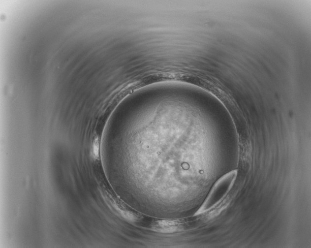 X0000087550095200705041339