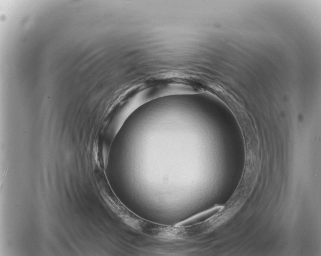 X0000087550096200705041339