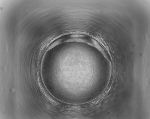 X0000087550097200705041338