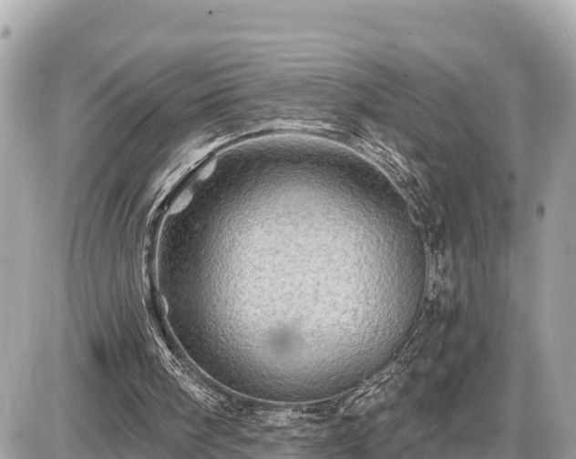 X0000087550098200705041338