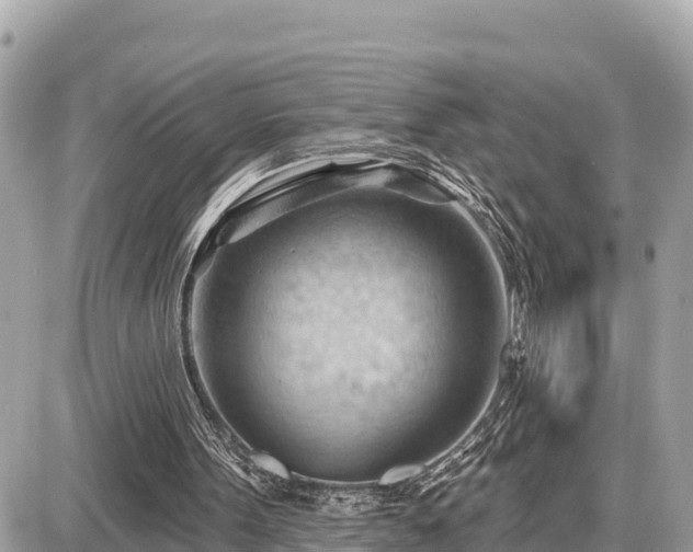 X0000087550099200705041338