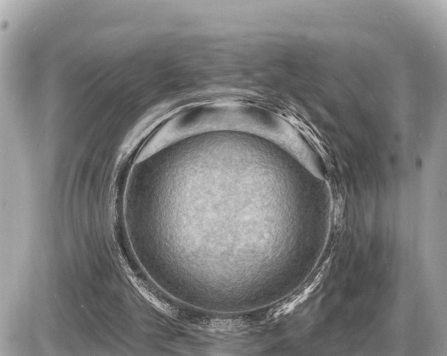 X0000087550101200705041338