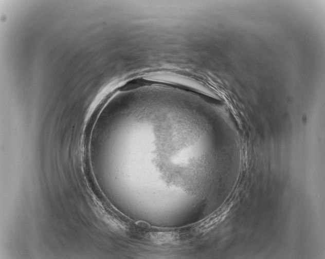 X0000087550102200705041338