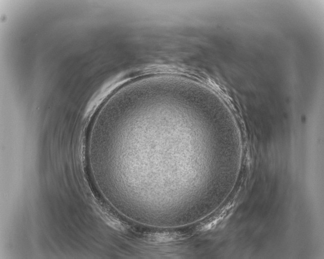 X0000087550103200705041338