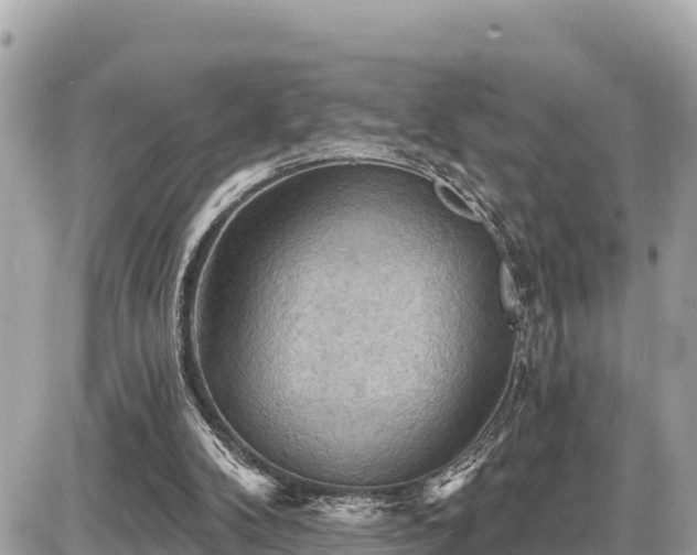 X0000087550104200705041338