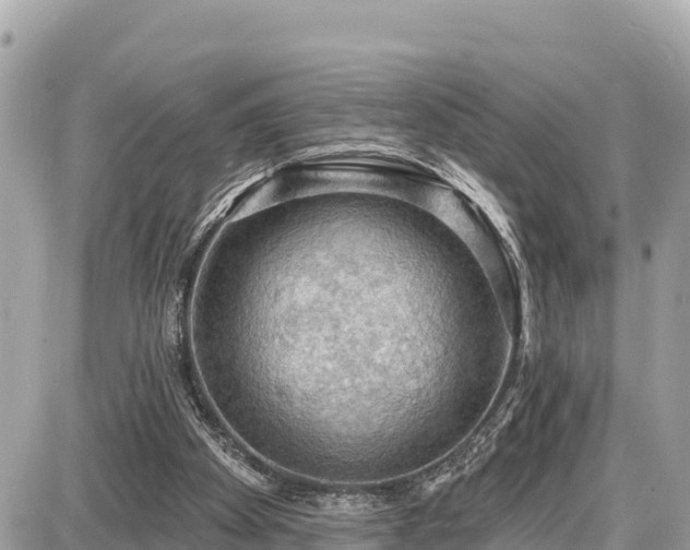 X0000087550105200705041338