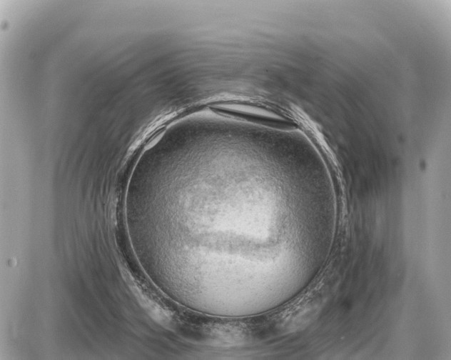 X0000087550106200705041338