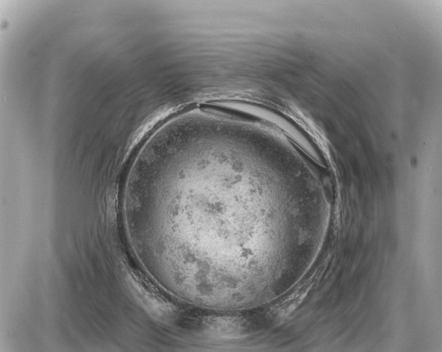 X0000087550107200705041338