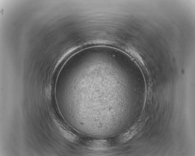 X0000087550108200705041338