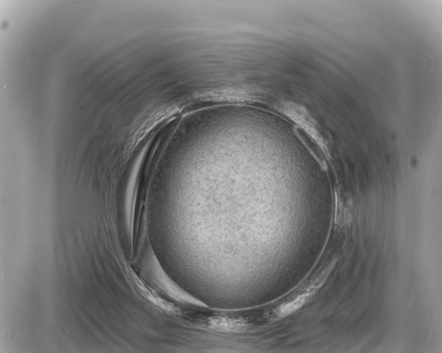 X0000087550109200705041338