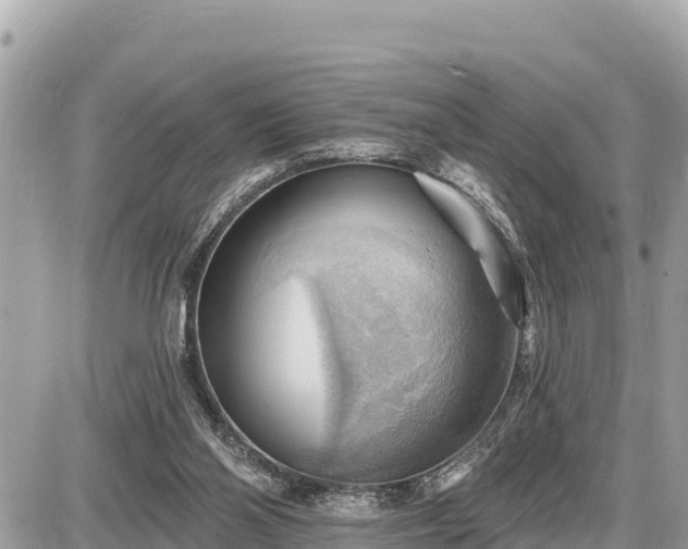 X0000087550110200705041338