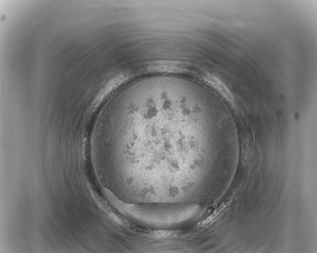 X0000087550111200705041338