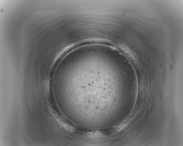 X0000087550112200705041338