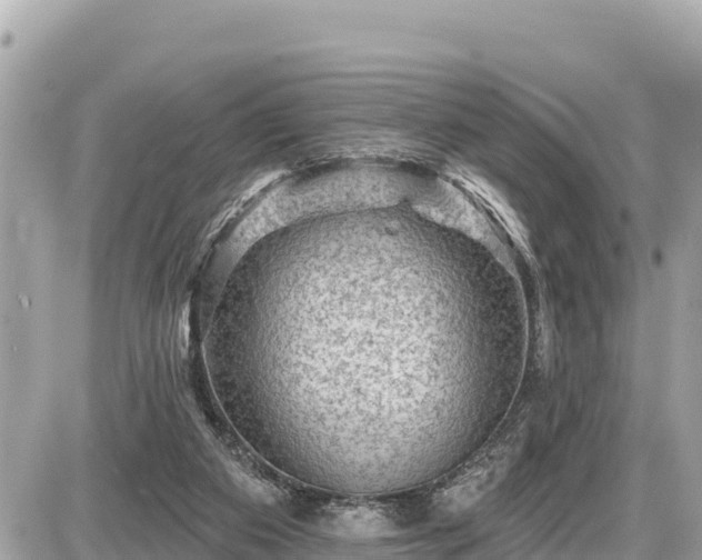 X0000087550113200705041338