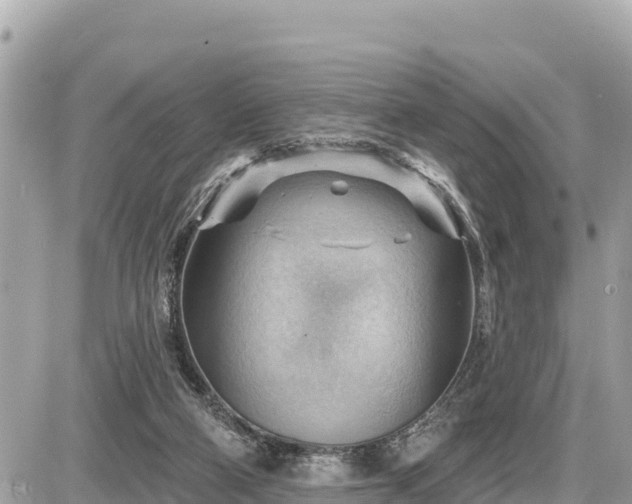 X0000087550114200705041338