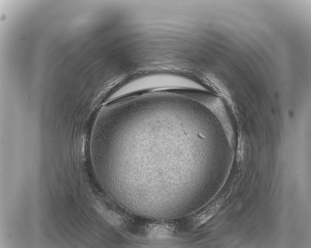 X0000087550115200705041338