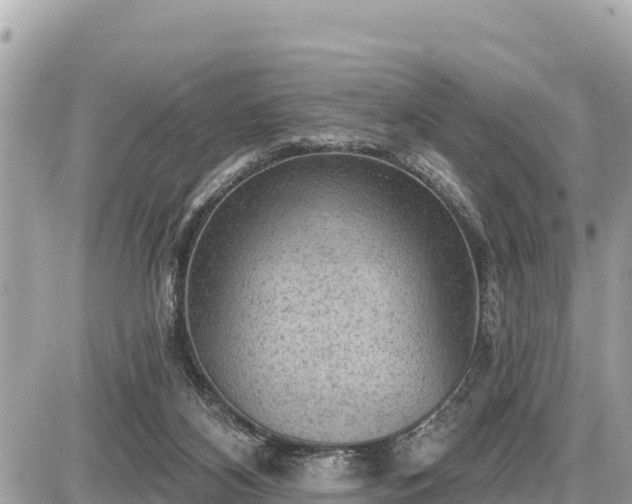 X0000087550116200705041338