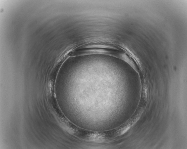 X0000087550117200705041338