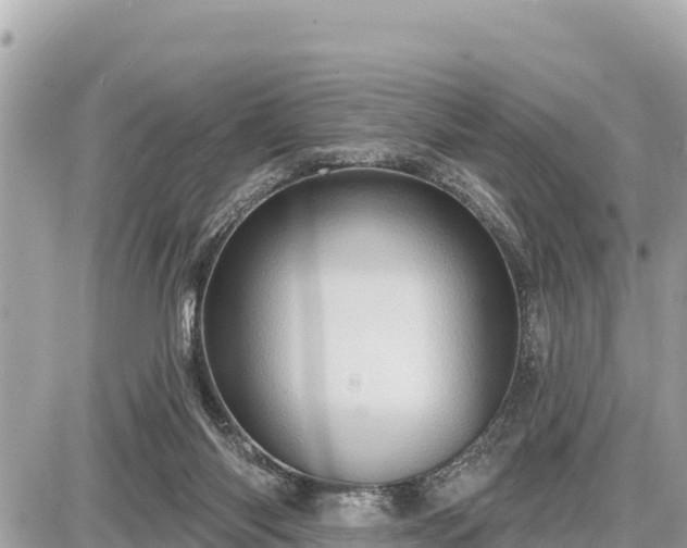 X0000087550118200705041338