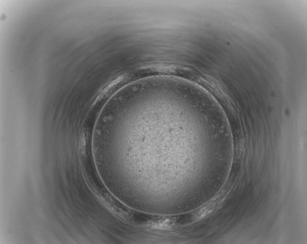 X0000087550120200705041337