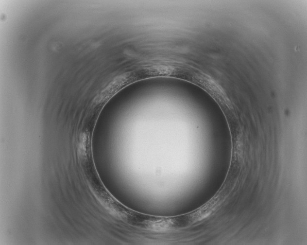 X0000087550122200705041337