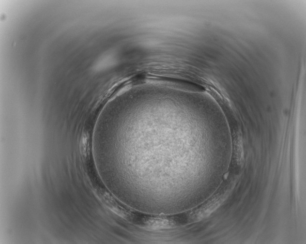 X0000087550123200705041337