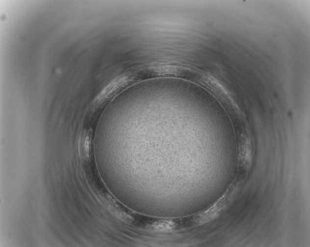 X0000087550124200705041337