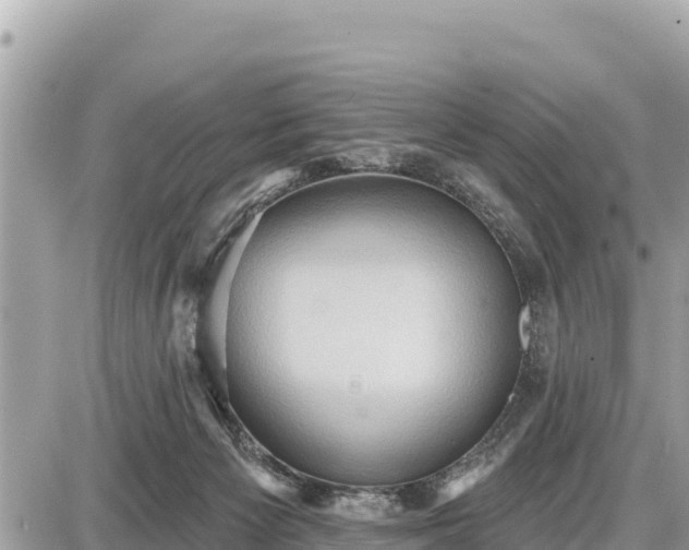 X0000087550125200705041337